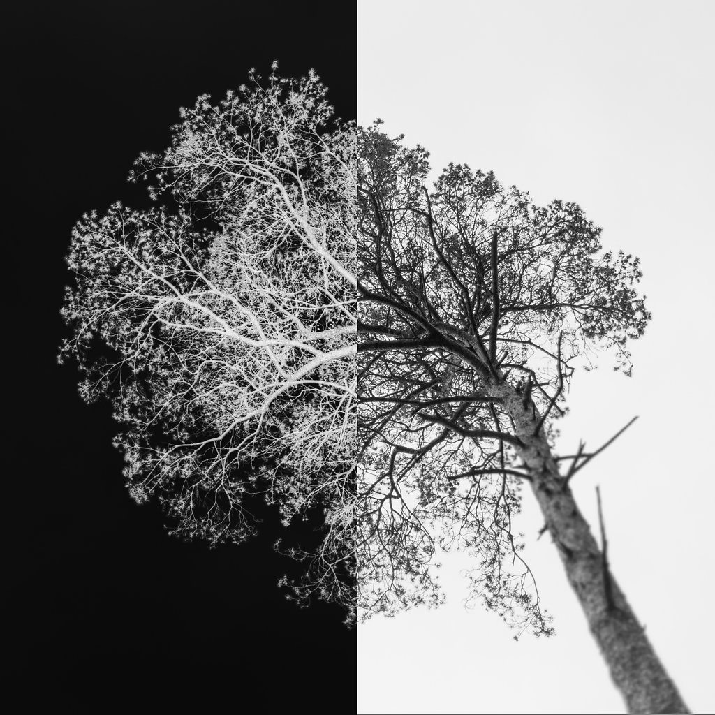 ARTEFACT 6